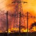 Light alerta: queimadas em áreas de vegetação podem danificar rede elétrica