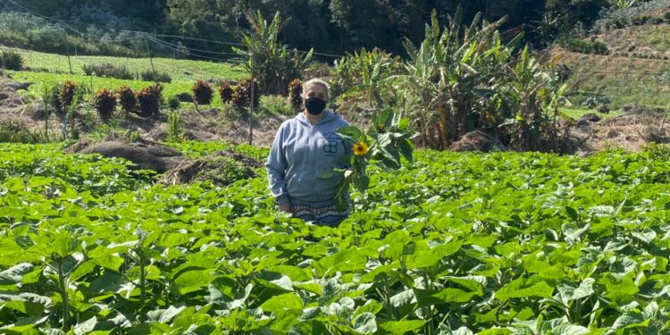 Dia do Agricultor: profissionais celebram programas e ações do governo do Estado 