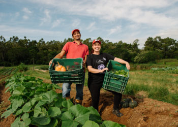 Barra Mansa realiza chamada pública para convocação de produtores da Agricultura Familiar