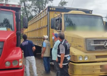 Sem cobrança de ICMS na transferência de gado entre os estados, pecuarista pode aumentar o desempenho da propriedade rural