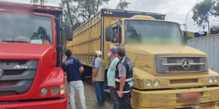 Sem cobrança de ICMS na transferência de gado entre os estados, pecuarista pode aumentar o desempenho da propriedade rural