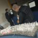PM apreende 231 pinos de cocaína em Volta Redonda