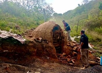 Secretaria do Ambiente e Inea fecham carvoaria em Volta Redonda