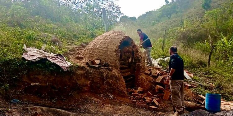 Secretaria do Ambiente e Inea fecham carvoaria em Volta Redonda