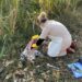Jaguatirica atropelada na Estrada BM X Bananal