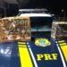 PRF prende homem que transportava ilegalmente pássaros silvestres na BR-101