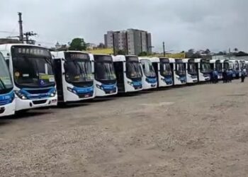 Transporte público: nova frota de ônibus