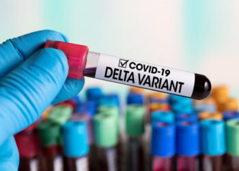 Covid-19: variante Delta em Porto Real