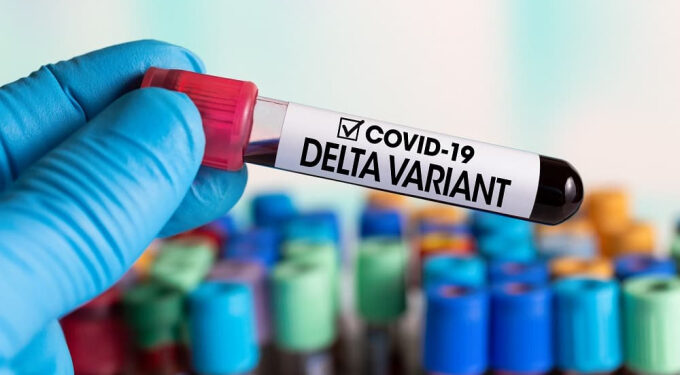Covid-19: variante Delta em Porto Real