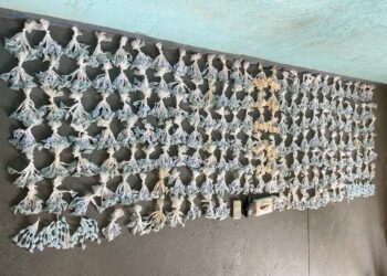 PM apreende mais de R$ 16 mil reais em drogas do tráfico de Volta Redonda