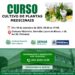 Prefeitura de Pinheiral oferece curso gratuito de Cultivo de Plantas Medicinais