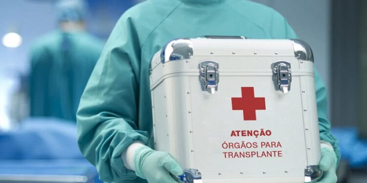 Os desafios e tabus na hora de confirmar a doação de um órgão