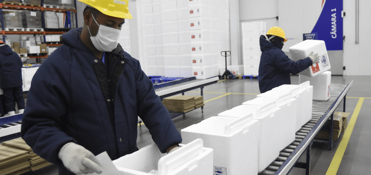 Governo já distribuiu mais de 300 milhões de doses contra a Covid-19 para todo país