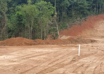Informação do Linha Verde leva PM Ambiental a movimentação do solo e desmatamento em Piraí