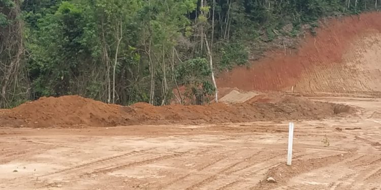Informação do Linha Verde leva PM Ambiental a movimentação do solo e desmatamento em Piraí