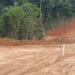 Informação do Linha Verde leva PM Ambiental a movimentação do solo e desmatamento em Piraí