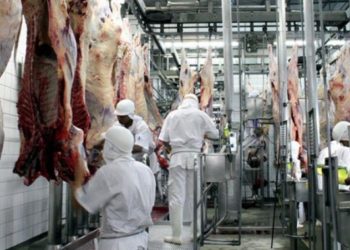 Abate de suínos aumenta, mas de bovinos cai no terceiro trimestre