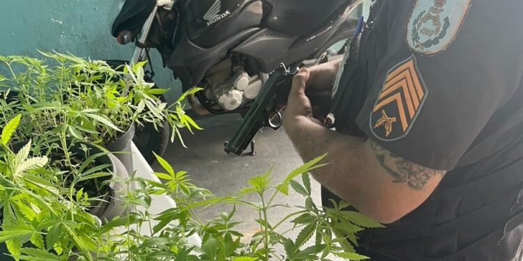 Homem escapa da Maria da Penha e cai na Maria Juana