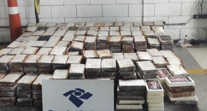 Cão farejador localiza 1,2 tonelada de cocaína em cargas de suco e açúcar no Porto de Santos