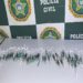 Polícia Civil apreende 8 mil pinos de cocaína que abasteceriam o Morro da Conquista em Volta Redonda