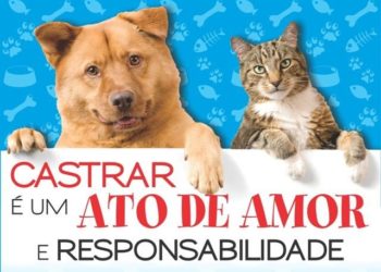Pinheiral vai castrar até 400 animais por mês