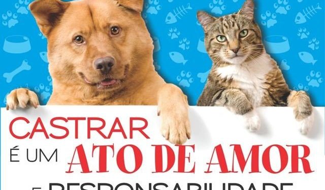 Pinheiral vai castrar até 400 animais por mês