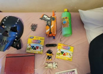 Operação Lobos II combate o abuso sexual infantil na darkweb no Brasil