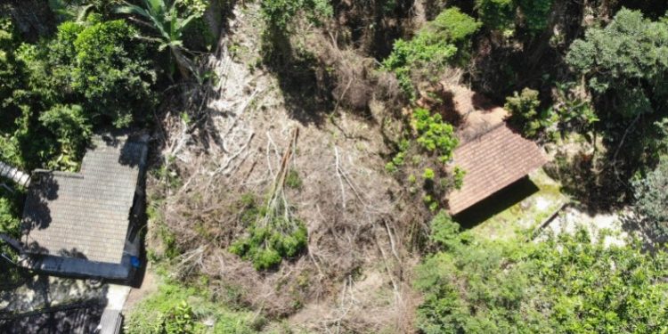 Informação do Linha Verde auxilia polícia na localização de desmatamento em Angra dos Reis