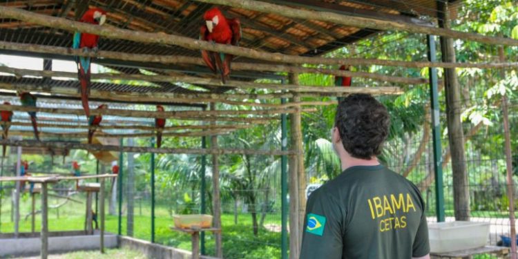 MPF e MPRJ impedem IBAMA de fechar Centro de Triagem de Animais Silvestres em Seropédica