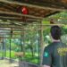 MPF e MPRJ impedem IBAMA de fechar Centro de Triagem de Animais Silvestres em Seropédica
