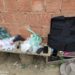 P2 prende dois com pistola 9mm e kit rajada no Belmonte