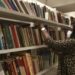 Venda de livros cresce 4,9% no período de Natal e faturamento sobe 14%