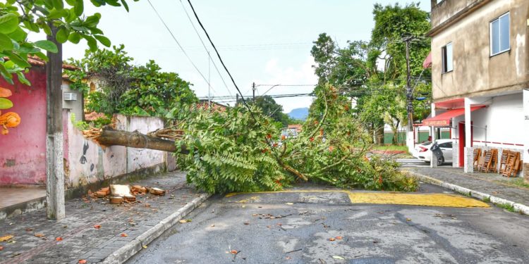 Chuva e vento de 20 minutos causam transtornos em Porto Real