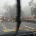 Árvore cai e interrompe trânsito na Dutra em Barra Mansa
