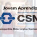 CSN abre 100 vagas para o Programa Jovem Aprendiz em Volta Redonda