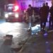 Homem é assassinado antes da virada do ano no Vila Elmira em Barra Mansa