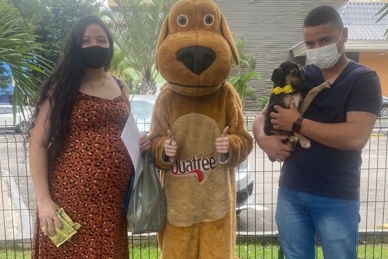 “Família Animal”: domingo é dia de feira de adoção em Volta Redonda