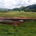 Minas Gerais de 31 barragens em algum nível de emergência
