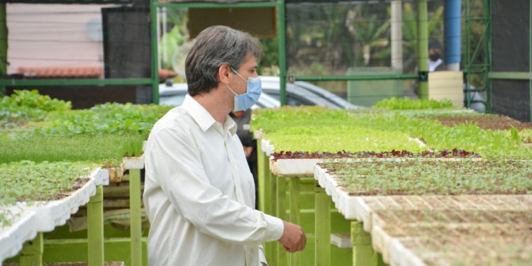 Secretaria de Agricultura de Porto Real distribuiu mais de 8 mil mudas no Projeto Horta Municipal