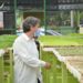 Secretaria de Agricultura de Porto Real distribuiu mais de 8 mil mudas no Projeto Horta Municipal