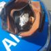 Quatis: PM apreende armas, dinheiro e explosivos. Buscas aos criminosos continuam