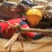 Corpo de Bombeiros vasculha rios de Petrópolis em busca de desaparecidos