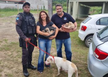 Vídeo mostra apreensão de cadela e nove filhotes em situação de maus tratos no Taquari, em Paraty
