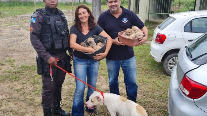 Vídeo mostra apreensão de cadela e nove filhotes em situação de maus tratos no Taquari, em Paraty
