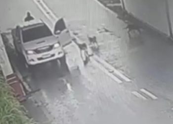 Homem que abandonou cães na Rodovia do Cotorno é multado em R$ 27 mil