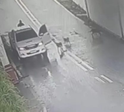 Homem que abandonou cães na Rodovia do Cotorno é multado em R$ 27 mil