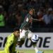 Libertadores: Fluminense pega Olimpia mirando vaga na fase de grupos