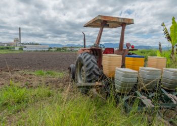 Produtor Rural recebe apoio para o cultivo de feijão