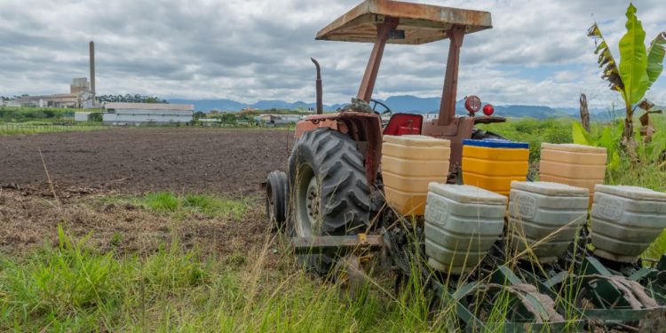 Produtor Rural recebe apoio para o cultivo de feijão