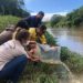 CSN realiza soltura de 10 mil alevinos no Rio Paraíba do Sul